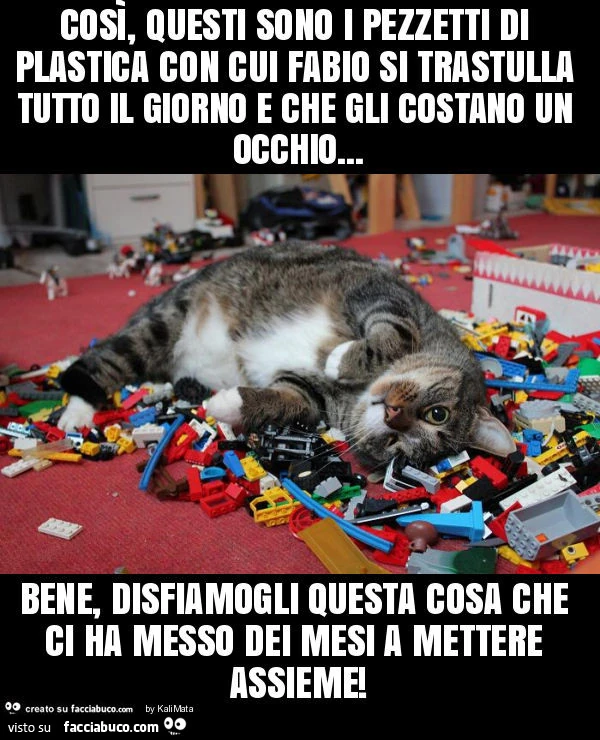 Così, questi sono i pezzetti di plastica con cui fabio si trastulla tutto il giorno e che gli costano un occhio&hellip; bene, disfiamogli questa cosa che ci ha messo dei mesi a mettere assieme