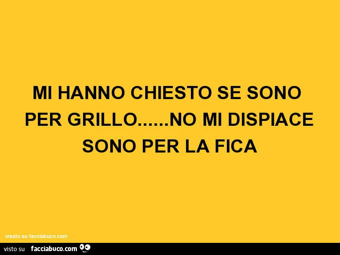 Mi hanno chiesto se sono per grillo&hellip; no mi dispiace sono per la fica