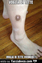Vaccata