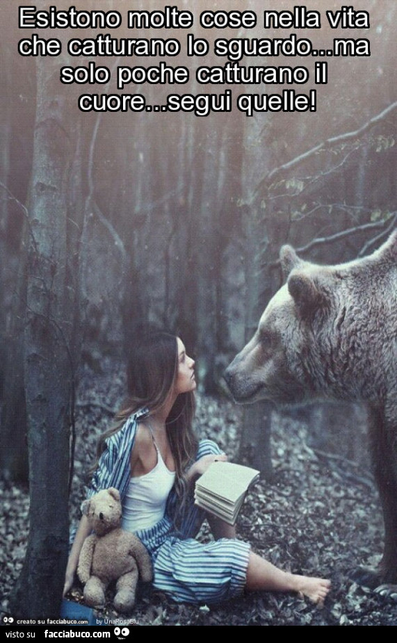 Esistono molte cose nella vita che catturano lo sguardo… ma solo poche catturano il cuore… segui quelle