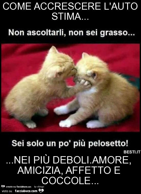 Come Accrescere L Autostima Nei Piu Deboli Amore Amicizia Affetto E Coccole Facciabuco Com