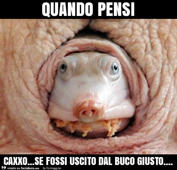 Quando pensi caxxo… se fossi uscito dal buco giusto