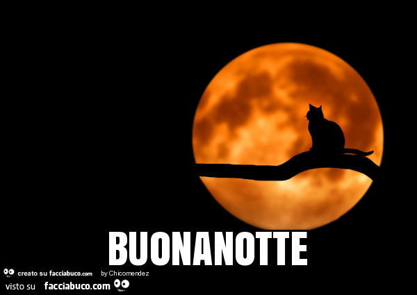 Gatto alla luna. Buonanotte