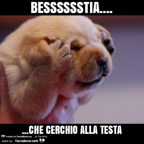 Besssssstia Che Cerchio Alla Testa Facciabuco Com