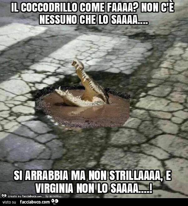 Il coccodrillo come faaaa? Non c'è nessuno che lo saaaa… si arrabbia… 