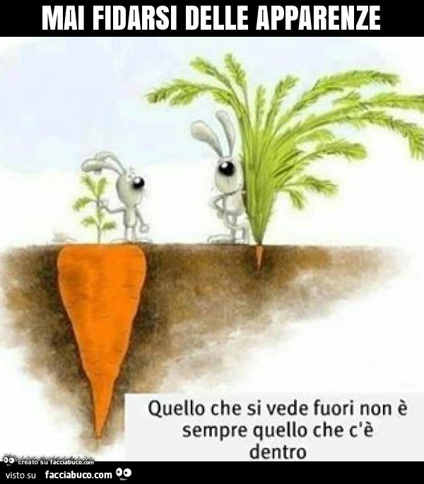 Mai fidarsi delle apparenze. Quello che si vede fuori non è sempre quello che c'è dentro