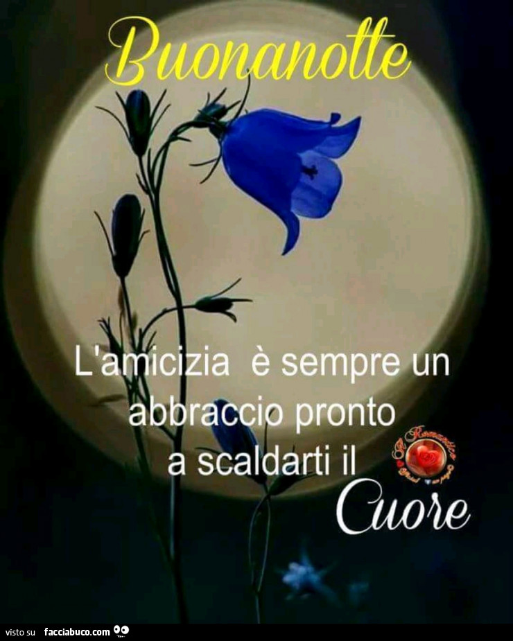 Buonanotte. L'amicizia è sempre un abbraccio pronto a scaldarti il cuore