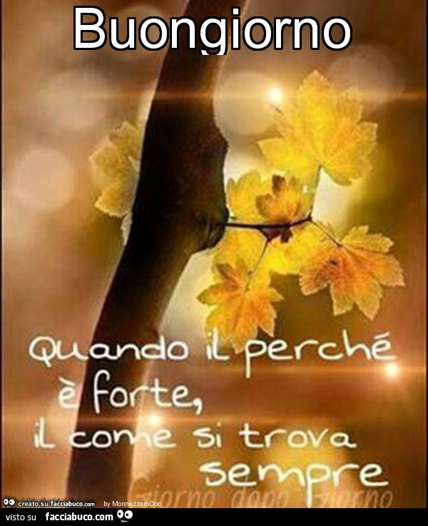 Buongiorno