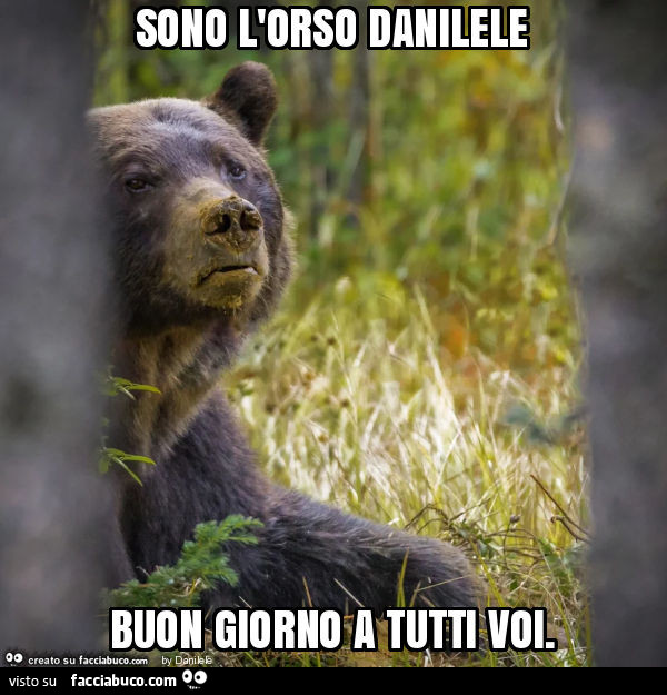 Sono l'orso danilele, buon giorno a tutti voi