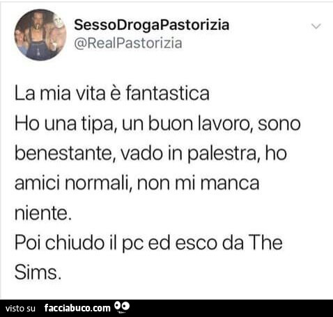 La mia vita è fantastica ho una tipa, un buon lavoro, sono benestante, vado in palestra, ho amici normali, non mi manca niente. Poi chiudo il pc ed esco da the sims