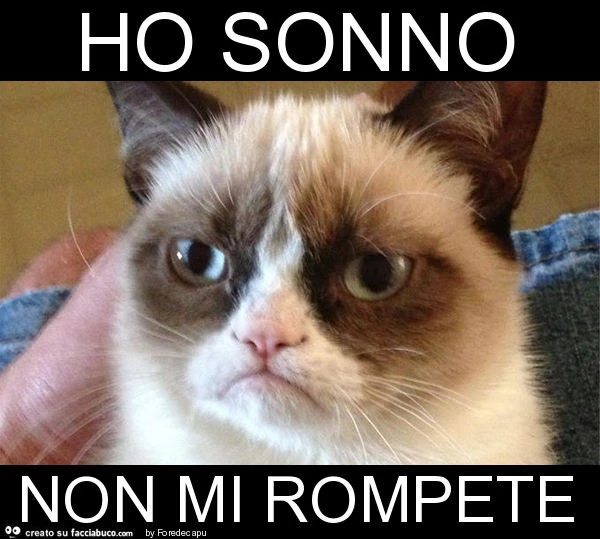 Ho sonno non mi rompete
