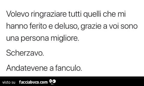 Volevo ringraziare tutti quelli che mi hanno ferito e deluso, grazie a voi sono una persona migliore. Scherzavo. Andatevene a fanculo