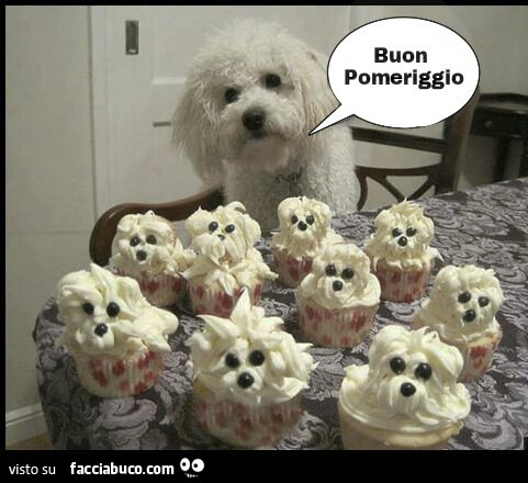 Cupcake con gif di cani divertenti