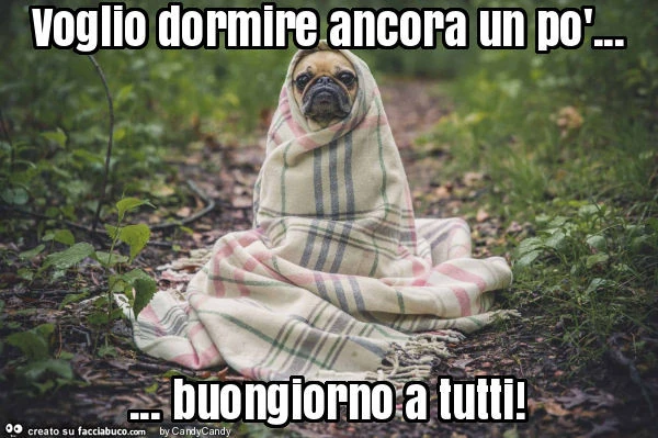 Voglio dormire ancora un po'&hellip; buongiorno a tutti