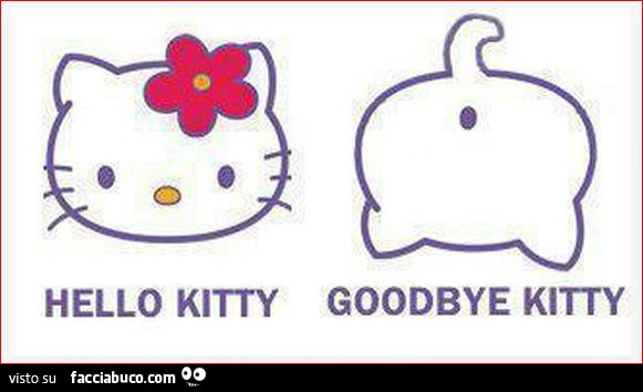 Hello kitty. Goodbye kitty