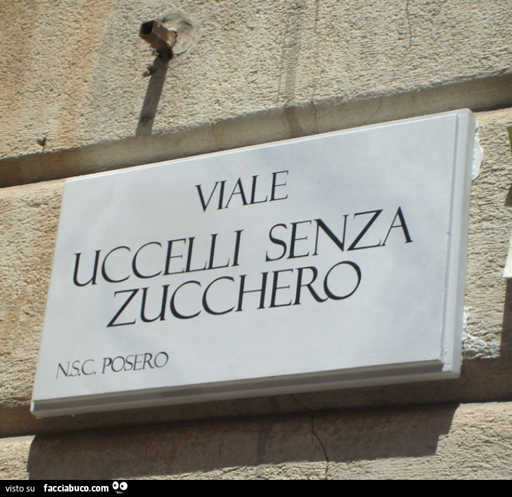 Viale uccelli senza zucchero