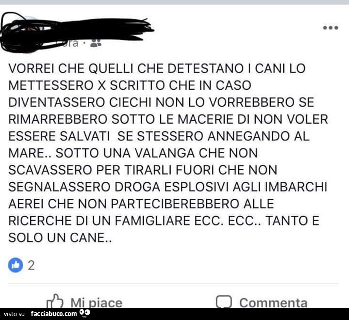 Vorrei che quelli che detestano i cani lo mettessero x scritto che in caso diventassero ciechi non lo vorrebbero se rimarrebbero sotto le macerie di non voler essere salvati se stessero annegando al mare