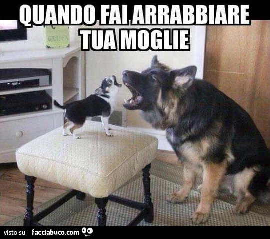 Quando fai arrabbiare tua moglie