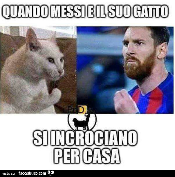 Quando messi e il suo gatto si incrociano per casa